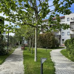 Фото Уютные апартаменты в Парковом квартале отеля «Имеретинский»