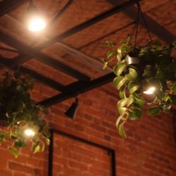 Фото Отель Soul Kitchen (Соул Китчен)