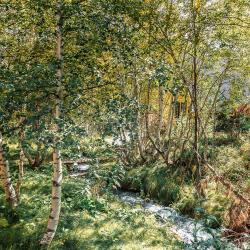 Коттедж Сакура