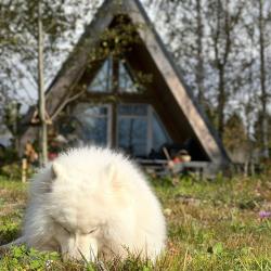 2-комнатный коттедж премиум