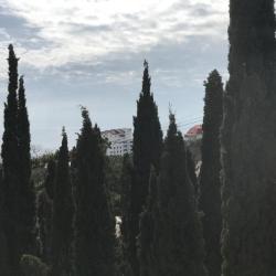 Фото Отель Пальма