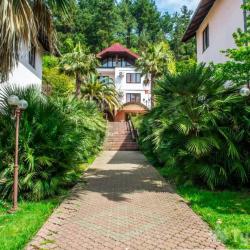 Фото Отель Дивный