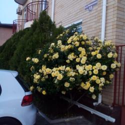 Фото Отель Утес