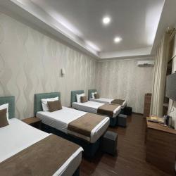 Фото Отель Shosh Avenue Hotel (Шош Авеню)