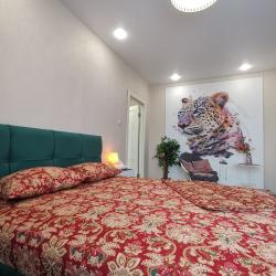 Фото Апартаменты на улице Ново-Садовая