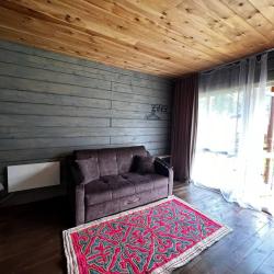 Фото Отель Altay Dream (Алтай Дрим)