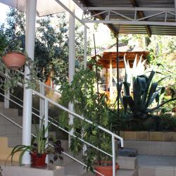 Фото Отель Эдем