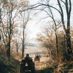 Фото Отель Gipsy Village (Джипси Вилладж)