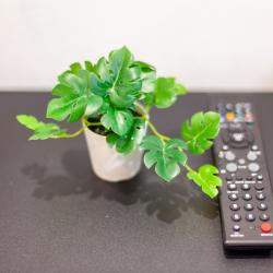 Фото Отель RentPlaza (РентПлаза) на 5-ой просеке 100 корпус 1