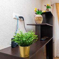 Фото Апартаменты SunRеntаl (СанРентал) на улице Волкова