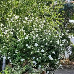 Фото Отель Город-Ок!