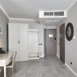 Номер студия премиум с 1 двуспальной кроватью