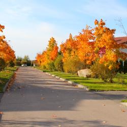 Фото Отель Спас-Каменка