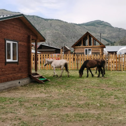 Фото Отель Горный орел