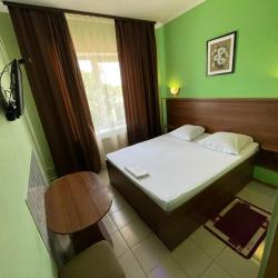 Номер эконом с 1 двуспальной кроватью