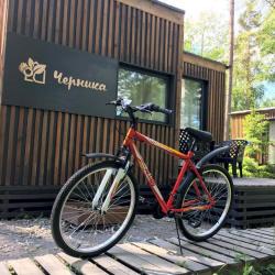 Фото Отель Черника Коттеджи