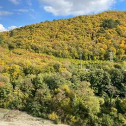 1-комнатные апартаменты люкс Газовиков 3А/3