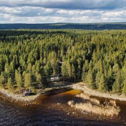 Коттедж премиум