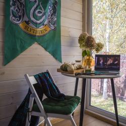 Коттедж стандарт Слизерин