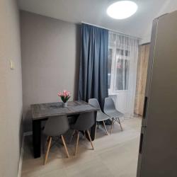 Фото Апартаменты на Родионова 191к1