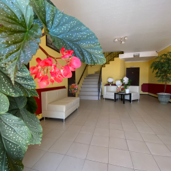 Фото Парк Отель Абхазия