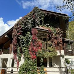 Фото Отель Гостевой дом Тере