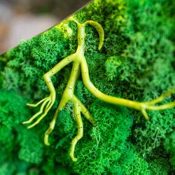 Коттедж стандарт