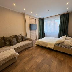 1-комнатные апартаменты стандарт Карла Либкнехта 114