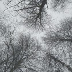 Фото Отель Тихий уголок