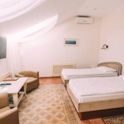 Номер стандарт с 2 односпальными кроватями (мансарда)