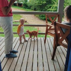 Фото Отель ВиллаЛила