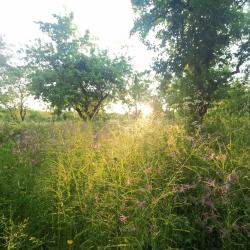 Фото Отель Усадьба