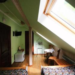 Фото Отель Золотой Гусь