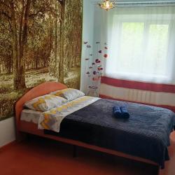 Фото Отель Rusdom Sweet Apartments (Русдом Свит) на улице Карла Маркса 45