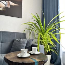 Фото Апартаменты Сальвадор