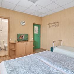 Фото Отель Гостевой дом Зеленый