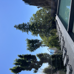 Фото Стильные апартаменты в 10-и минутах от моря