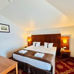 Номер люкс (мансарда)