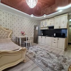 1-комнатные апартаменты студия