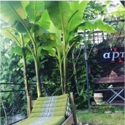 Фото Отель Шато Жюли