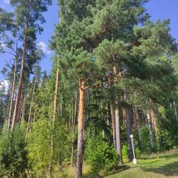 Фото Отель Прибрежный Ярбург