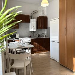 1-комнатные апартаменты стандарт ул. Щапова, 45