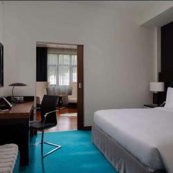 фото 29 Radisson Rosa Khutor ( Рэдиссон Роза Хутор )