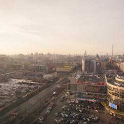 Комната эконом Опавший цветок