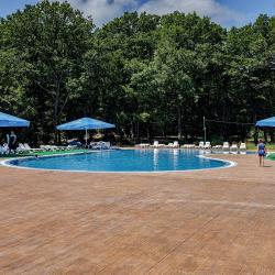 Фото Отель Ателика Лесная бухта