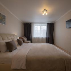 Фото Апартаменты на проспекте Ленина 28