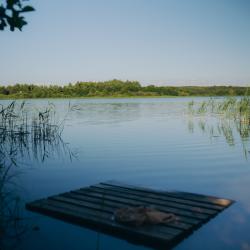 Фото Отель Торополис