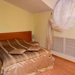 Номер люкс с 1 двуспальной кроватью (с завтраком)