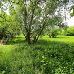 Апартаменты студия Студия 1