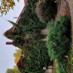 Фото Отель Каменный цветок